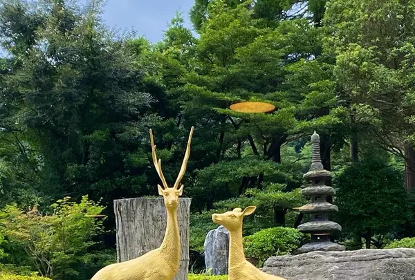 霧島ホテルの写真・動画_image_1193636