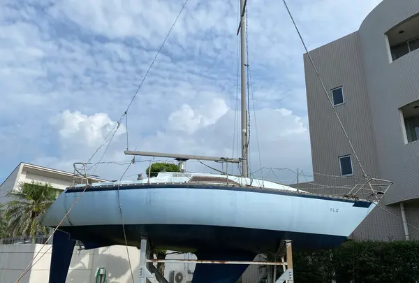 ねじめ温泉・ネッピー館の写真・動画_image_1193666