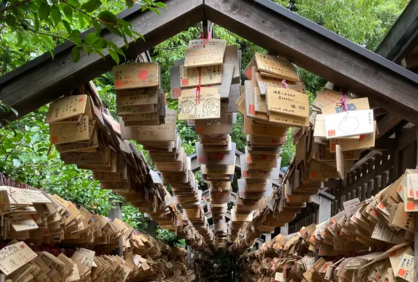 川越氷川神社の写真・動画_image_1194431