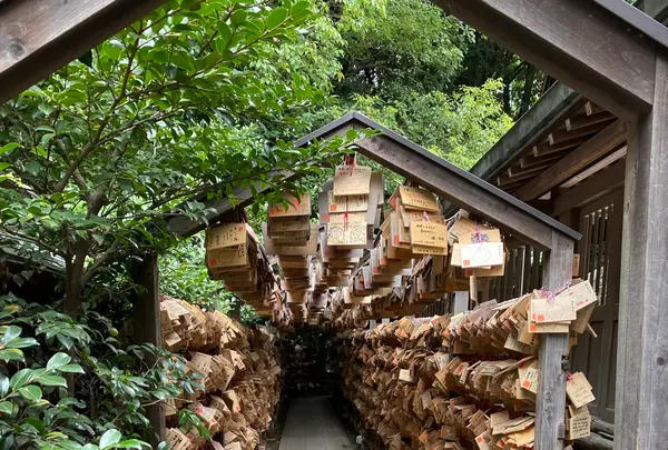 川越氷川神社の写真・動画_image_1194432