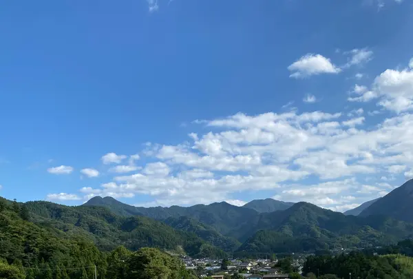 横瀬町の寺坂棚田の写真・動画_image_1195374
