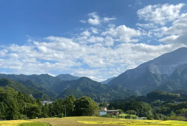 横瀬町の寺坂棚田の写真・動画_image_1195375