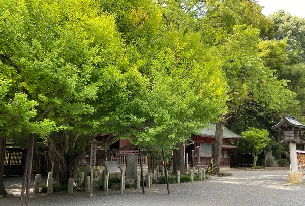 秩父神社の写真・動画_image_1195382