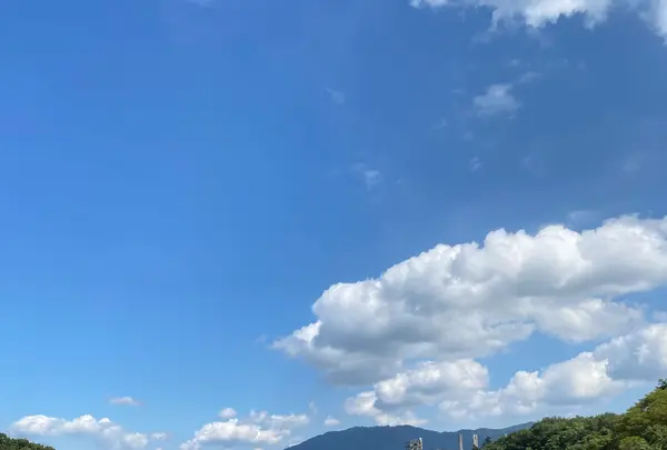 旧秩父橋の写真・動画_image_1195388