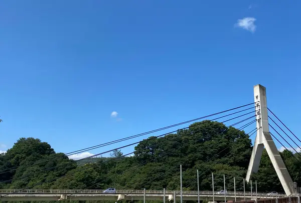 旧秩父橋の写真・動画_image_1195390
