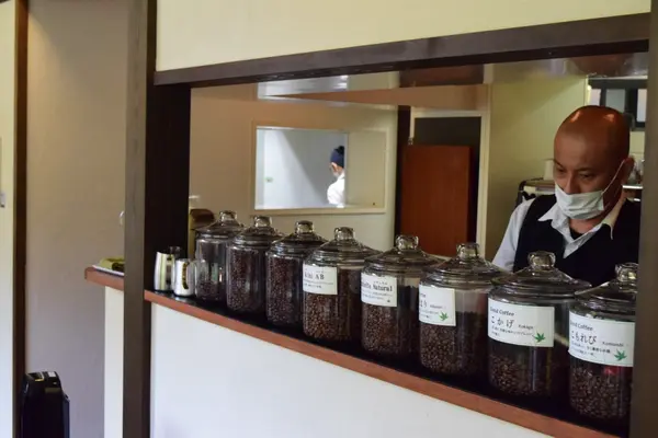 龍泉荘 奥の院 木もれ陽の写真・動画_image_1195437