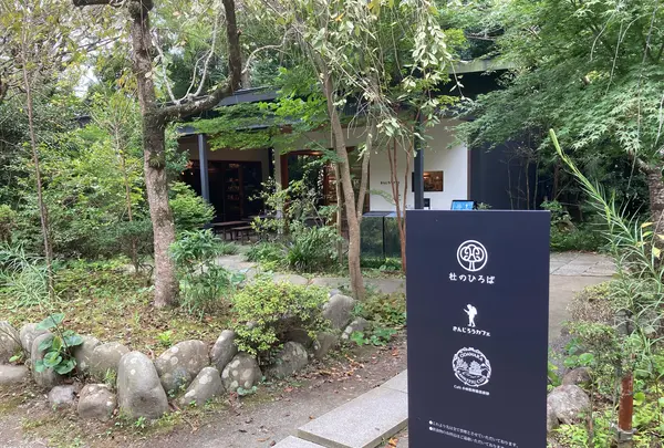 きんじろうカフェの写真・動画_image_1199184