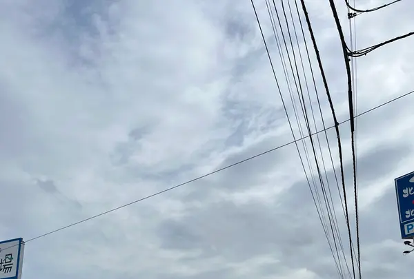 札幌市中央卸売市場 場外市場の写真・動画_image_1199881