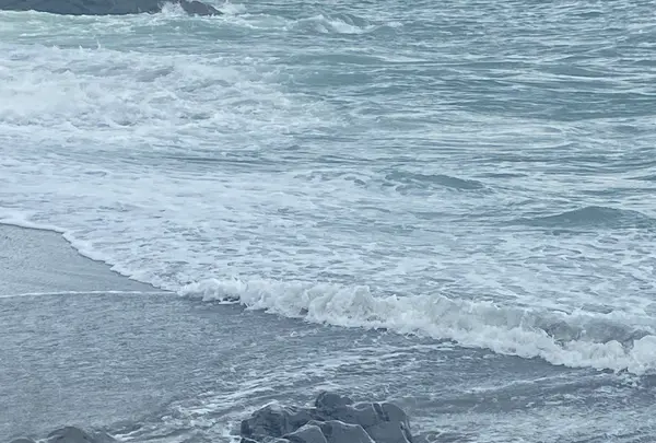 桂浜の写真・動画_image_1199909