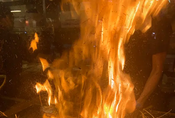 ひろめ市場の写真・動画_image_1201442