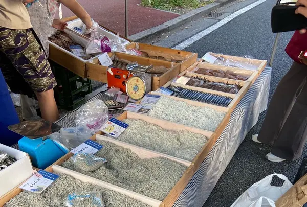 日曜市の写真・動画_image_1201475