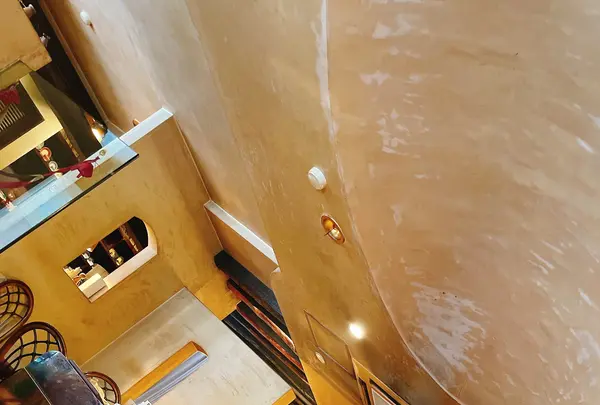 フレンチボーグの写真・動画_image_1206507