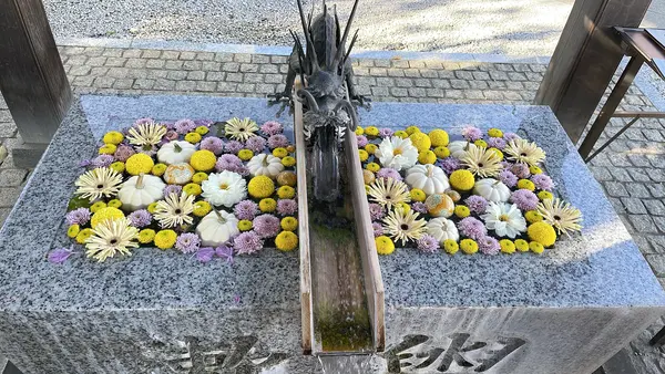川越八幡宮の写真・動画_image_1206537
