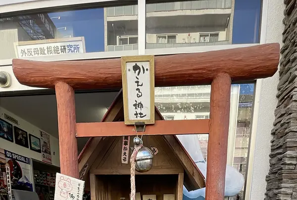 ナチュリーラの写真・動画_image_1206554