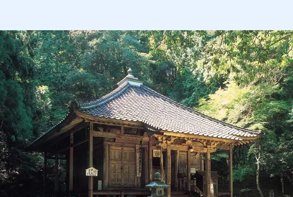 馬居寺の写真・動画_image_1208992