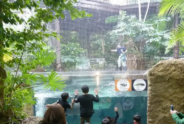 若狭たかはまエルどらんどの写真・動画_image_1209010