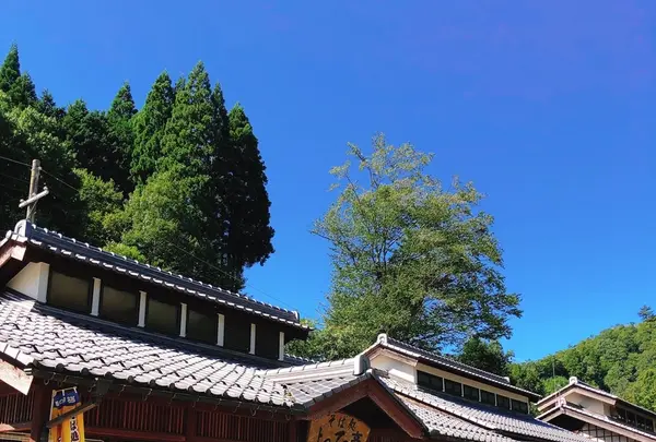 名田庄そば処 よってっ亭の写真・動画_image_1209051