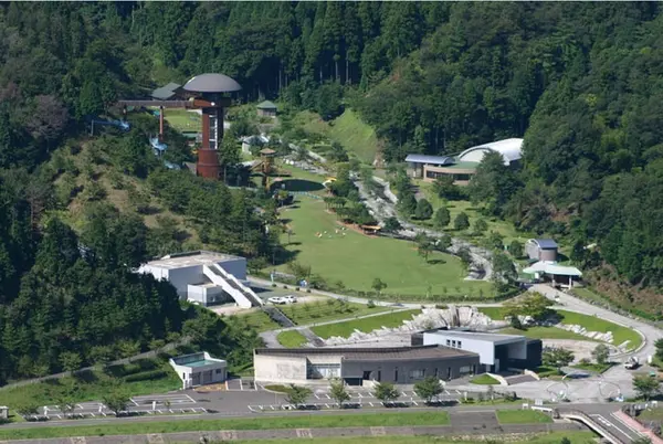 きのこの森の写真・動画_image_1209110