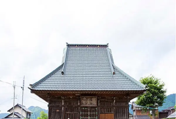 国分寺の写真・動画_image_1209765