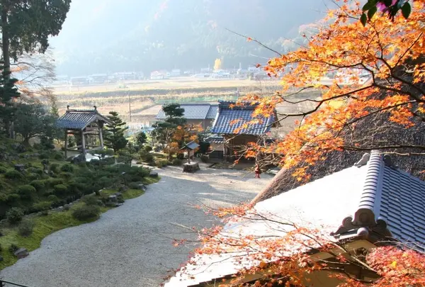 萬徳寺の写真・動画_image_1209771