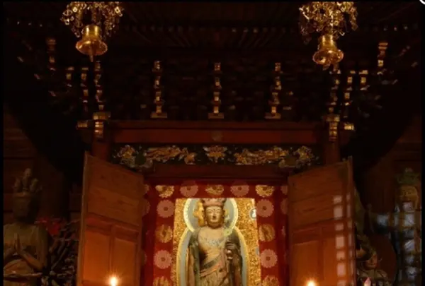 羽賀寺の写真・動画_image_1209789