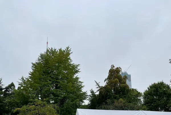 芝公園の写真・動画_image_1209972