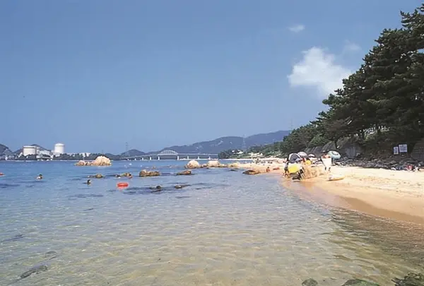 丹生白浜海水浴場の写真・動画_image_1211908