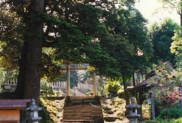 織田神社の写真・動画_image_1211974