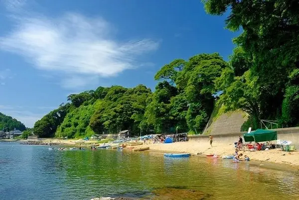 杉津海水浴場の写真・動画_image_1212945
