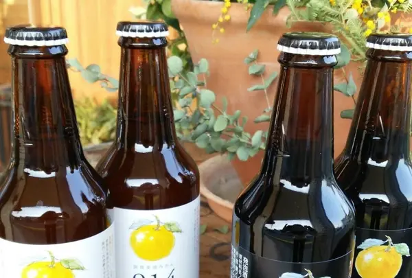 ケセラセラーみやもとの写真・動画_image_1213005