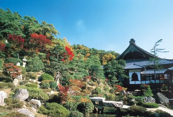 西福寺の写真・動画_image_1213016