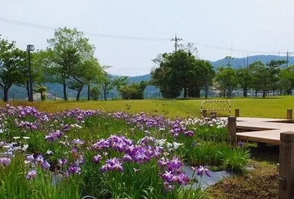 敦賀市総合運動公園の写真・動画_image_1213025