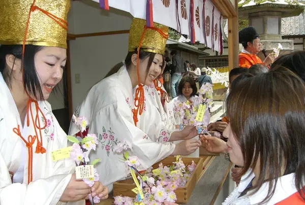 金崎宮の写真・動画_image_1213035