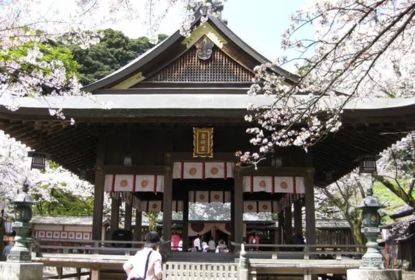 金崎宮の写真・動画_image_1213036