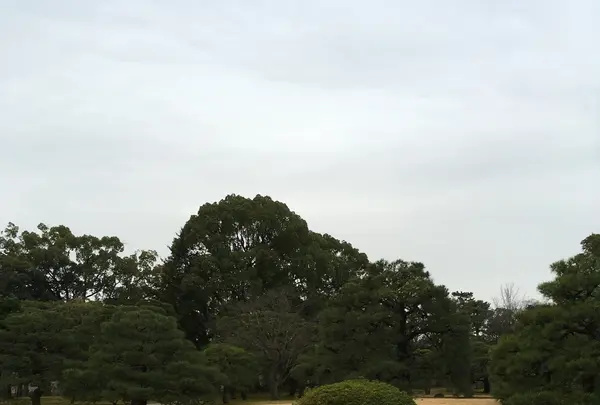 元離宮 二条城の写真・動画_image_1214252
