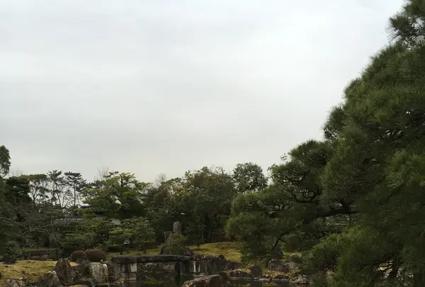 元離宮 二条城の写真・動画_image_1214255