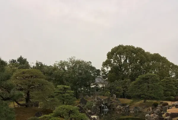 元離宮 二条城の写真・動画_image_1214256