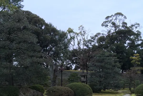 元離宮 二条城の写真・動画_image_1214260
