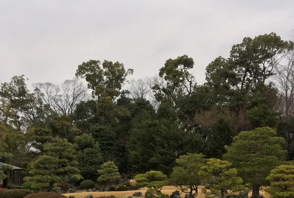 元離宮 二条城の写真・動画_image_1214262