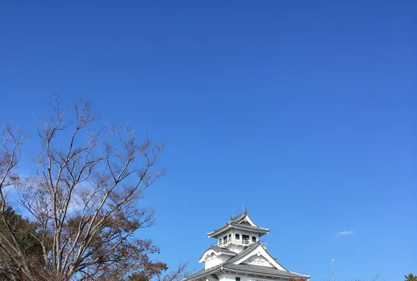 豊公園の写真・動画_image_1215518