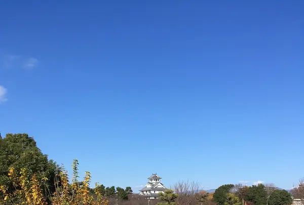 豊公園の写真・動画_image_1215519