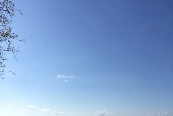 豊公園の写真・動画_image_1215520