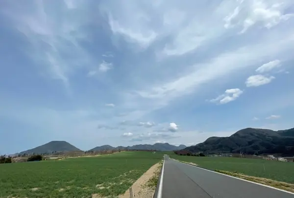 らっきょう畑の写真・動画_image_1216276