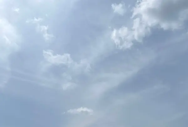 らっきょう畑の写真・動画_image_1216277