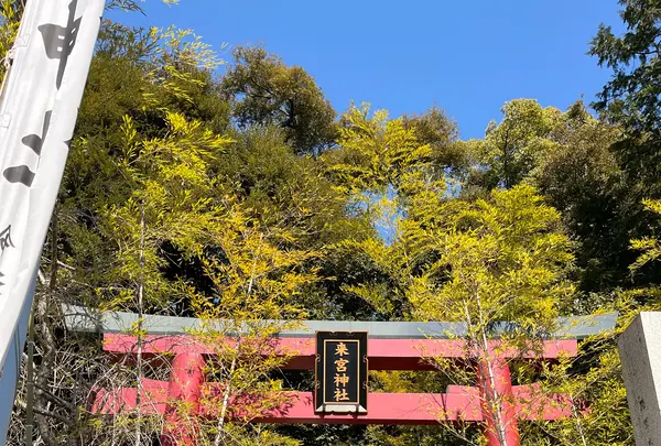 來宮神社の写真・動画_image_1216293