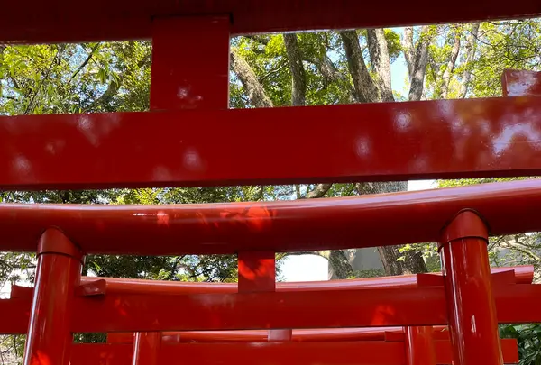 來宮神社の写真・動画_image_1216295