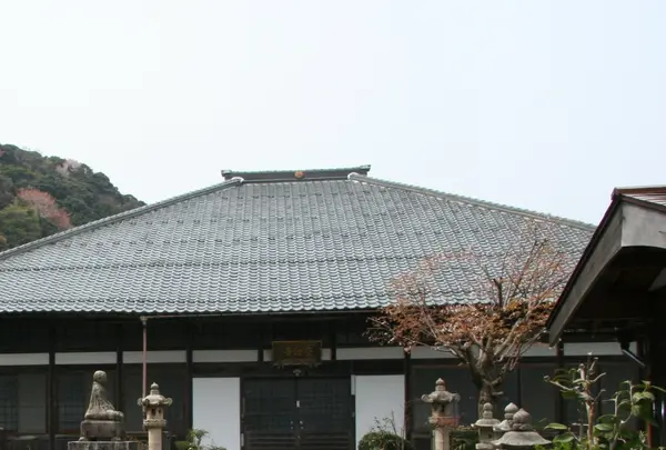 空印寺の写真・動画_image_1216697