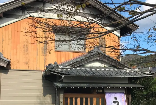 魚三の写真・動画_image_1216902