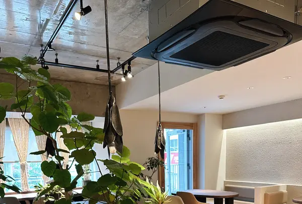 CAFÉ Tarot (カフェタロー)の写真・動画_image_1217105