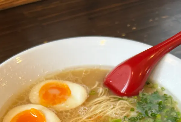 博多 あか星の写真・動画_image_1219714